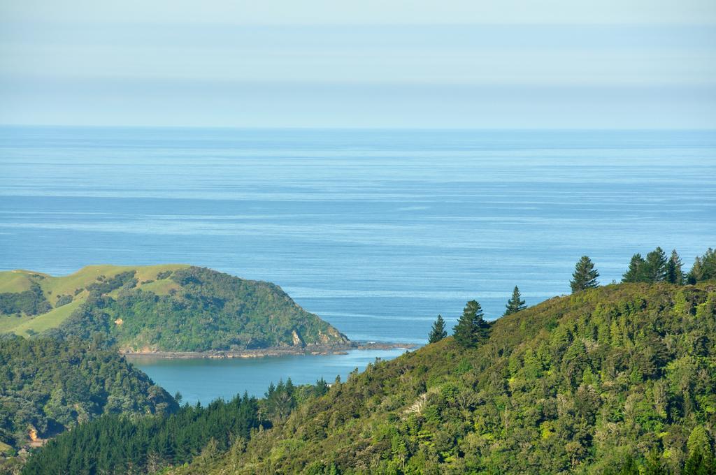 Hopewell B&B Helena Bay 外观 照片